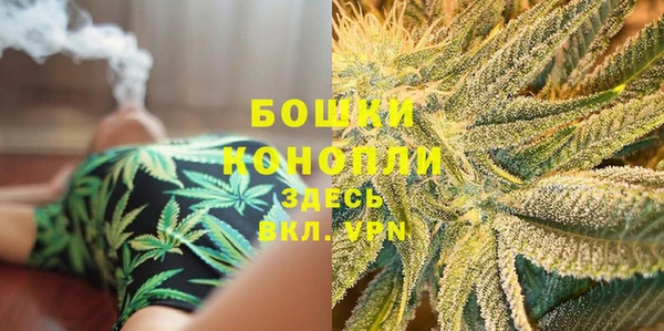 хмурый Семилуки