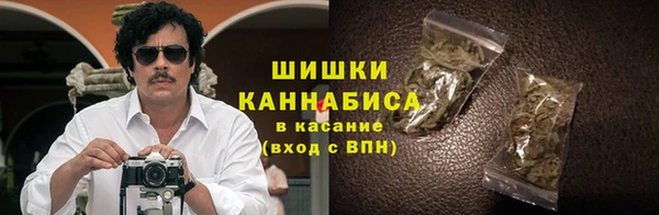 дживик Снежногорск