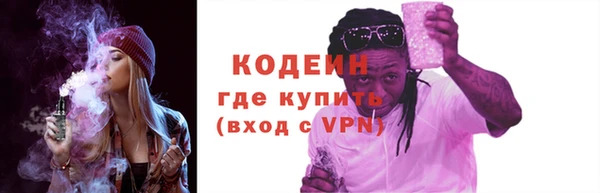 дживик Снежногорск