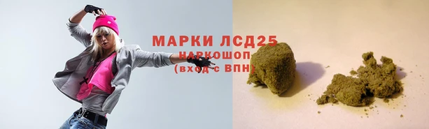 дживик Снежногорск