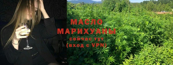 дживик Снежногорск