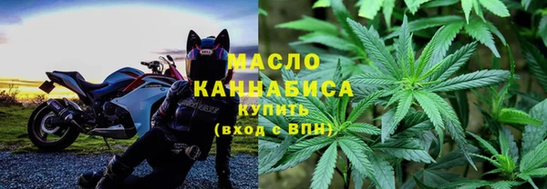 дживик Снежногорск