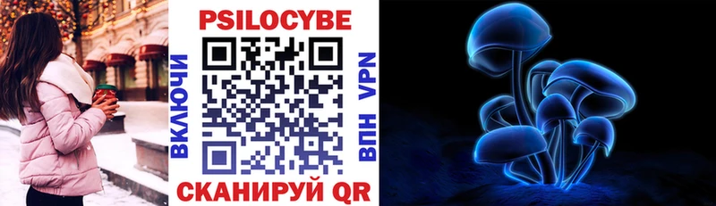 сколько стоит  Талица  Галлюциногенные грибы прущие грибы 